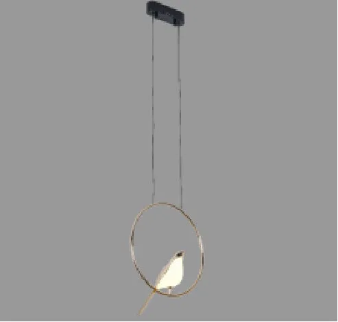 Modern simple aluminium alloy hall lamp with iron chandelier design and adjustable height feature