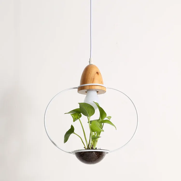 LED plant chandelier with three glass lampshades in black finish for living room ceiling