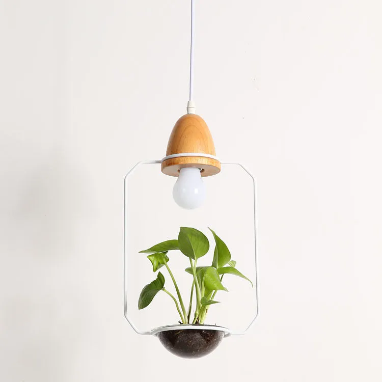 LED plant chandelier with three glass lampshades in black finish for living room ceiling
