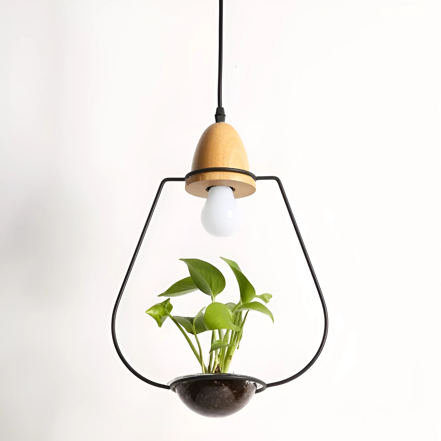 LED plant chandelier with three glass lampshades in black finish for living room ceiling