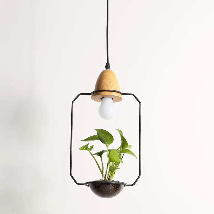 LED plant chandelier with three glass lampshades in black finish for living room ceiling