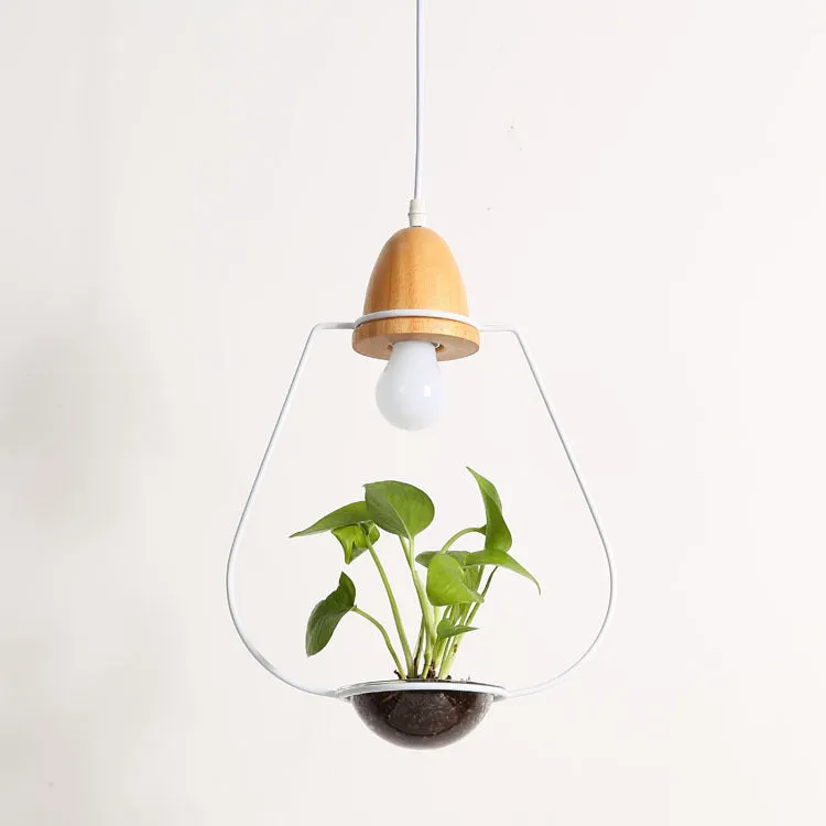 LED plant chandelier with three glass lampshades in black finish for living room ceiling