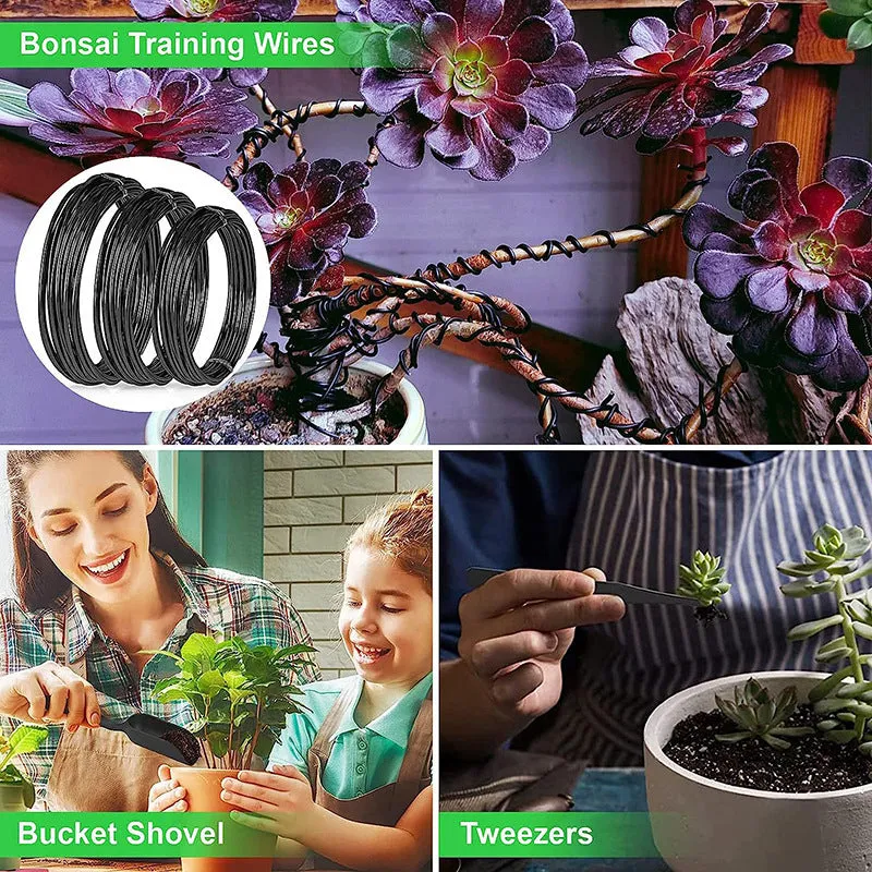 24-piece bonsai tools set in compact case with stainless steel heads for pruning potted plants