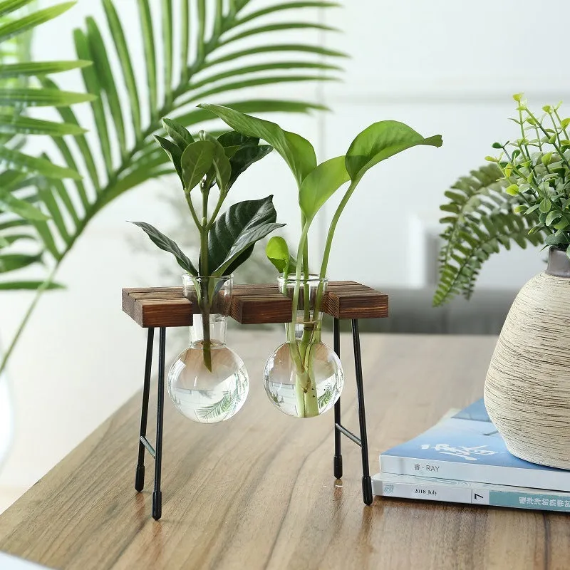 Glass plant terrarium with wooden stand, geometric shape, Chinese style, on a desk