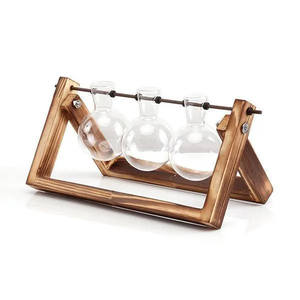Glass plant terrarium with wooden stand, geometric shape, Chinese style, on a desk