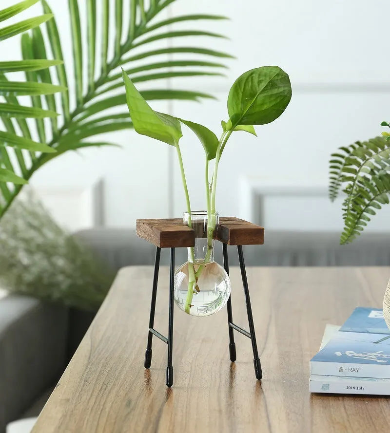 Glass plant terrarium with wooden stand, geometric shape, Chinese style, on a desk