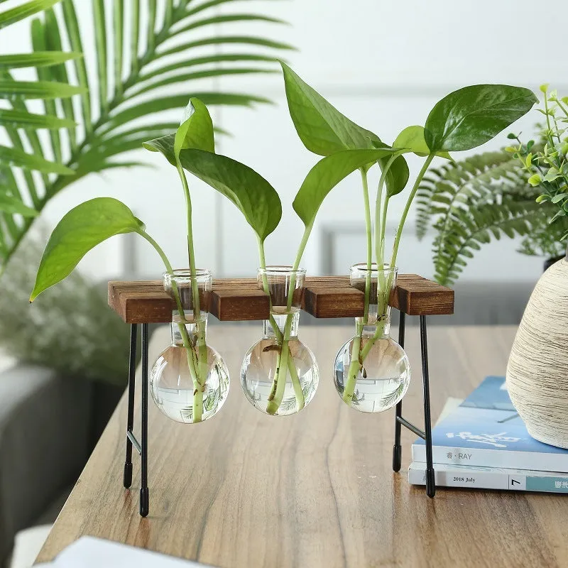 Glass plant terrarium with wooden stand, geometric shape, Chinese style, on a desk