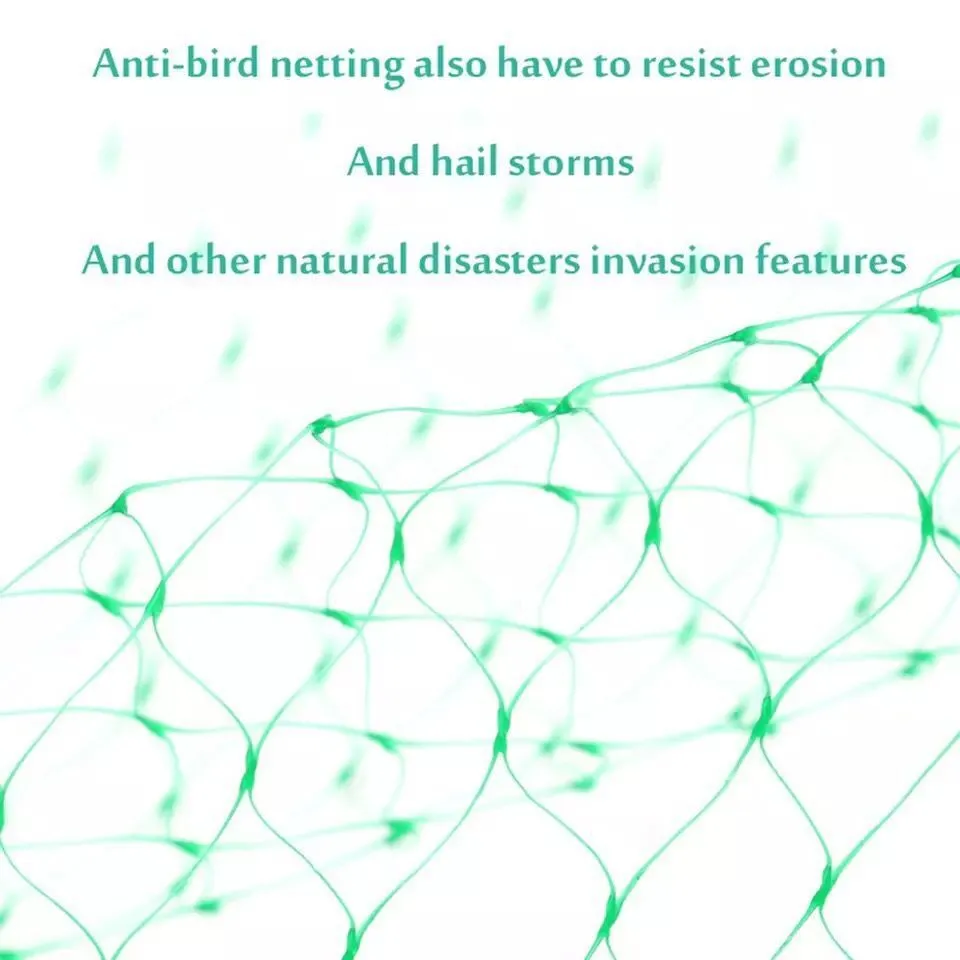 Green polypropylene garden bird net draped over a fruit tree for anti-bird protection