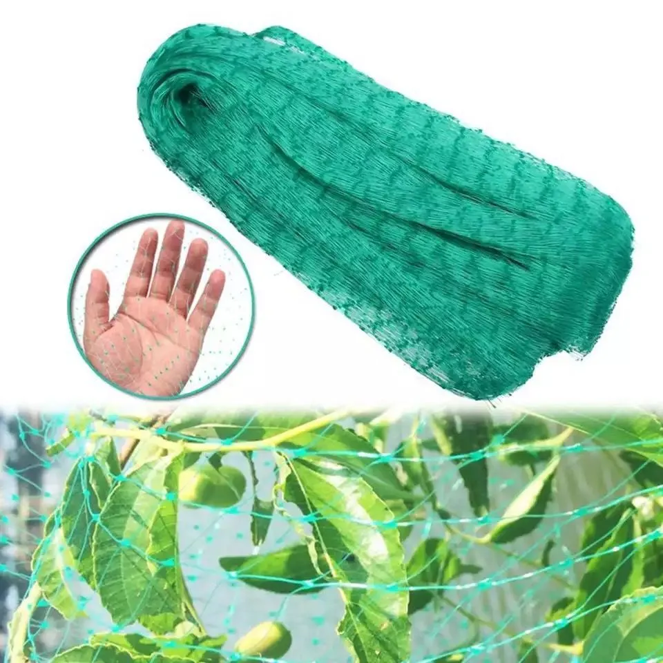 Green polypropylene garden bird net draped over a fruit tree for anti-bird protection
