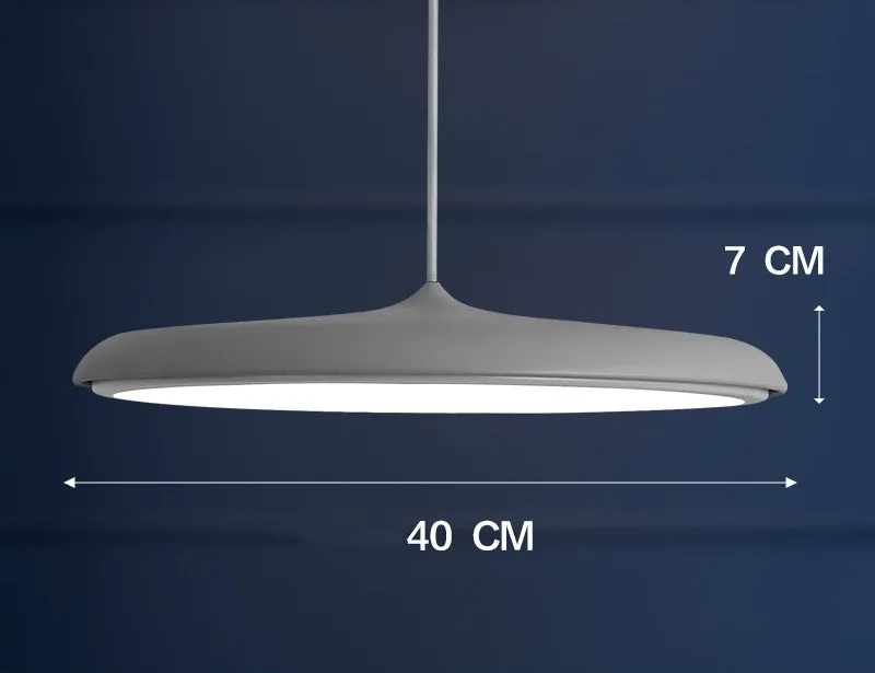 Nordic modern iron LED chandelier with fish shape, two size options, and three-colour temperature lighting