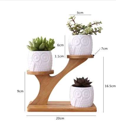 Set of three white ceramic owl planters on a bamboo tree stand for desktop display