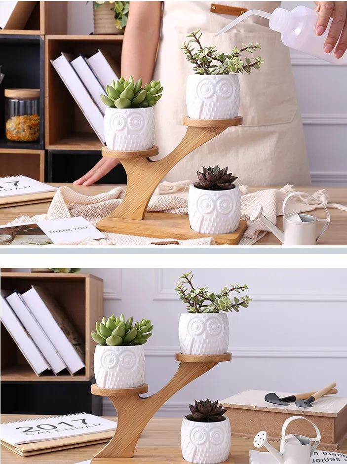 Set of three white ceramic owl planters on a bamboo tree stand for desktop display