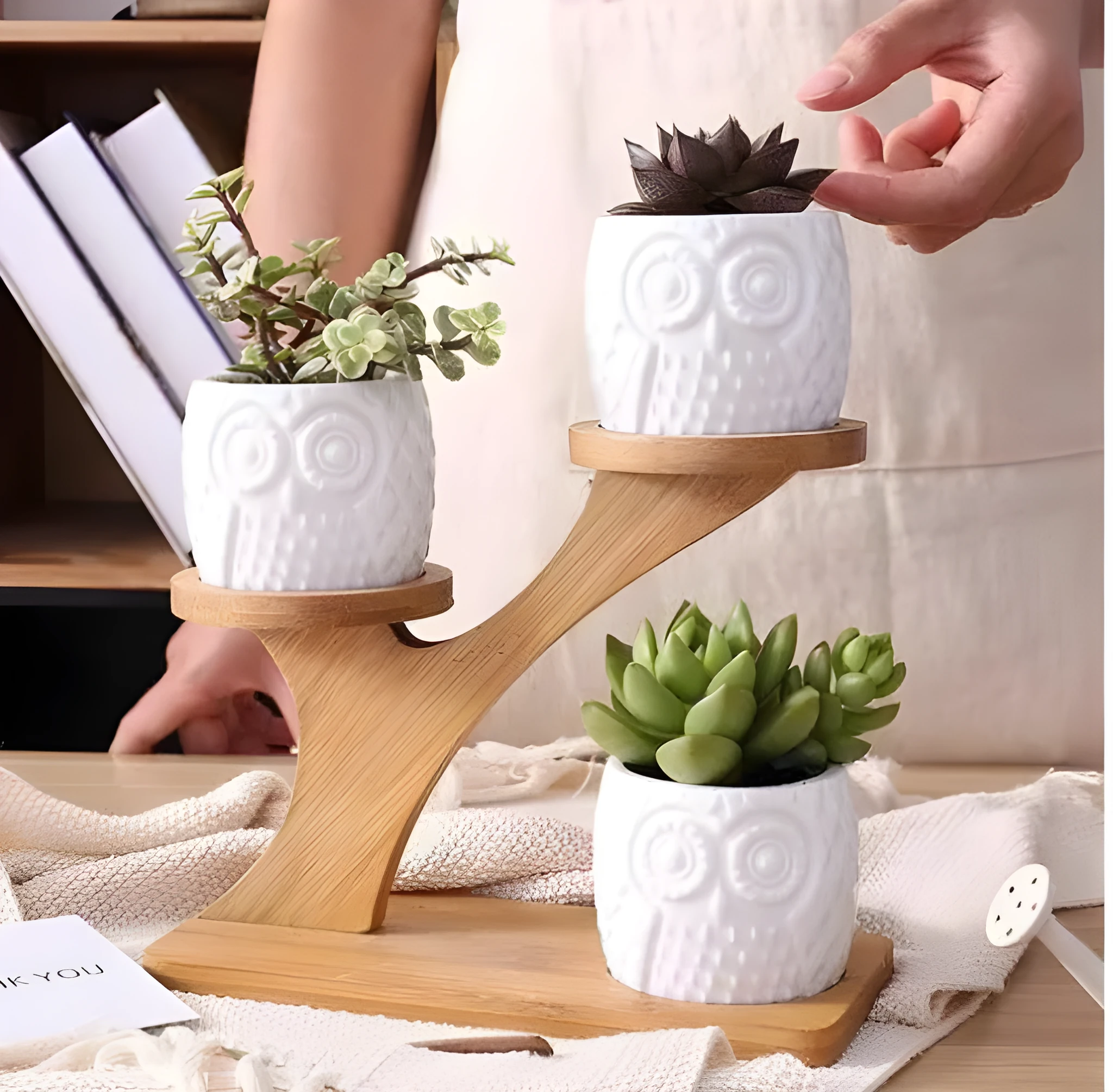 Set of three white ceramic owl planters on a bamboo tree stand for desktop display