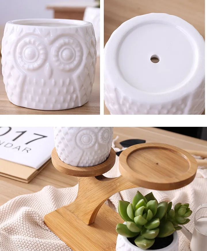 Set of three white ceramic owl planters on a bamboo tree stand for desktop display