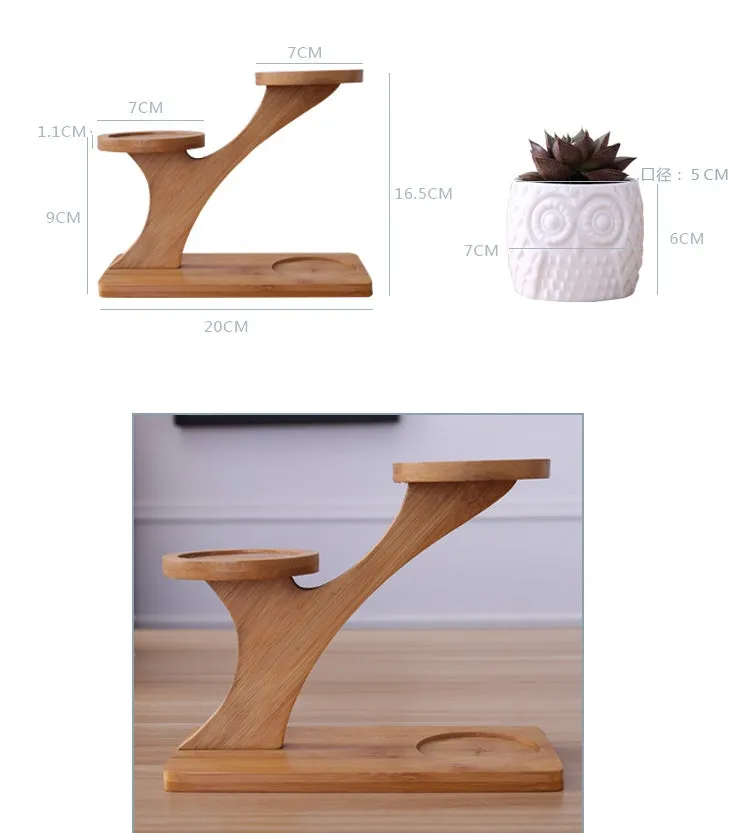 Set of three white ceramic owl planters on a bamboo tree stand for desktop display