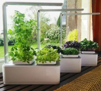 White hydroponic self-absorbent herb vegetable planting box with LED grow lights and water alarm on a desktop