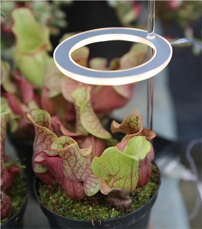 USB LED grow light with transparent housing and yellow light on 25cm acrylic stick