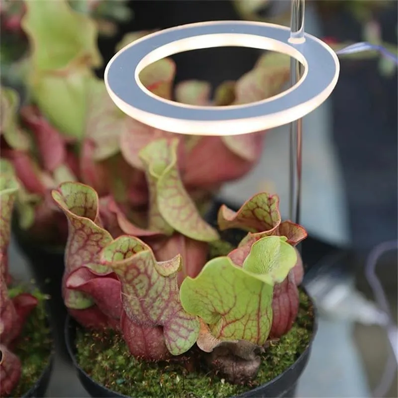 USB LED grow light with transparent housing and yellow light on 25cm acrylic stick