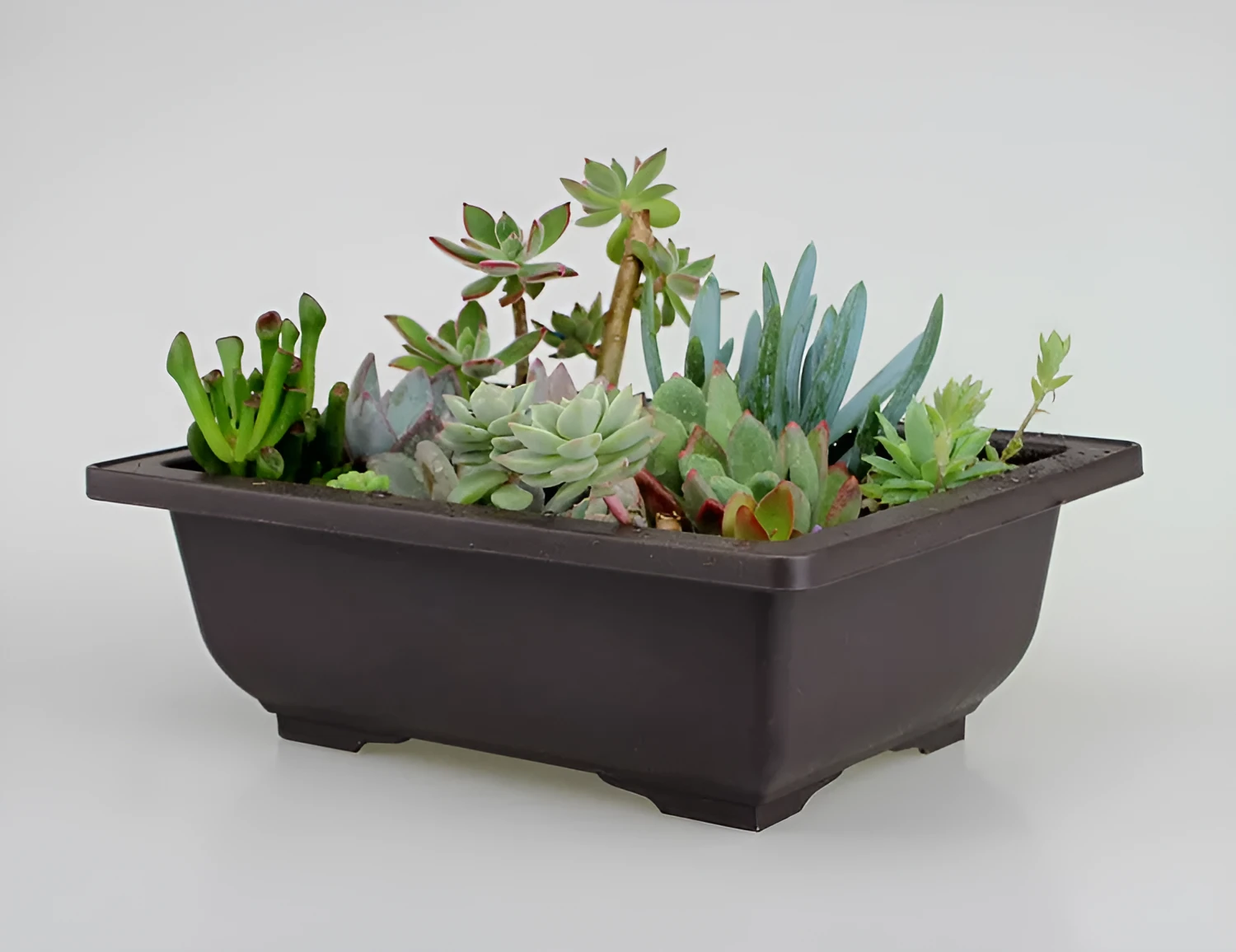 Dark brown antique-style recycled plastic flowerpot on a wooden garden table.