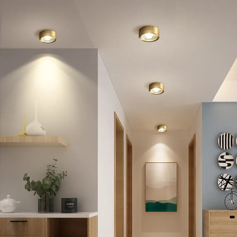 All-copper surface mounted LED downlight available in 8cm, 10cm, 12cm diameters with adjustable colour temperature 3000K-6000K