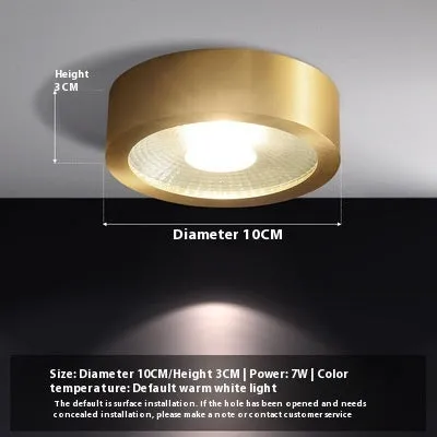 All-copper surface mounted LED downlight available in 8cm, 10cm, 12cm diameters with adjustable colour temperature 3000K-6000K