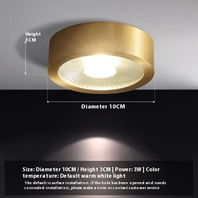 All-copper surface mounted LED downlight available in 8cm, 10cm, 12cm diameters with adjustable colour temperature 3000K-6000K