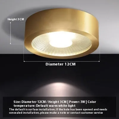 All-copper surface mounted LED downlight available in 8cm, 10cm, 12cm diameters with adjustable colour temperature 3000K-6000K
