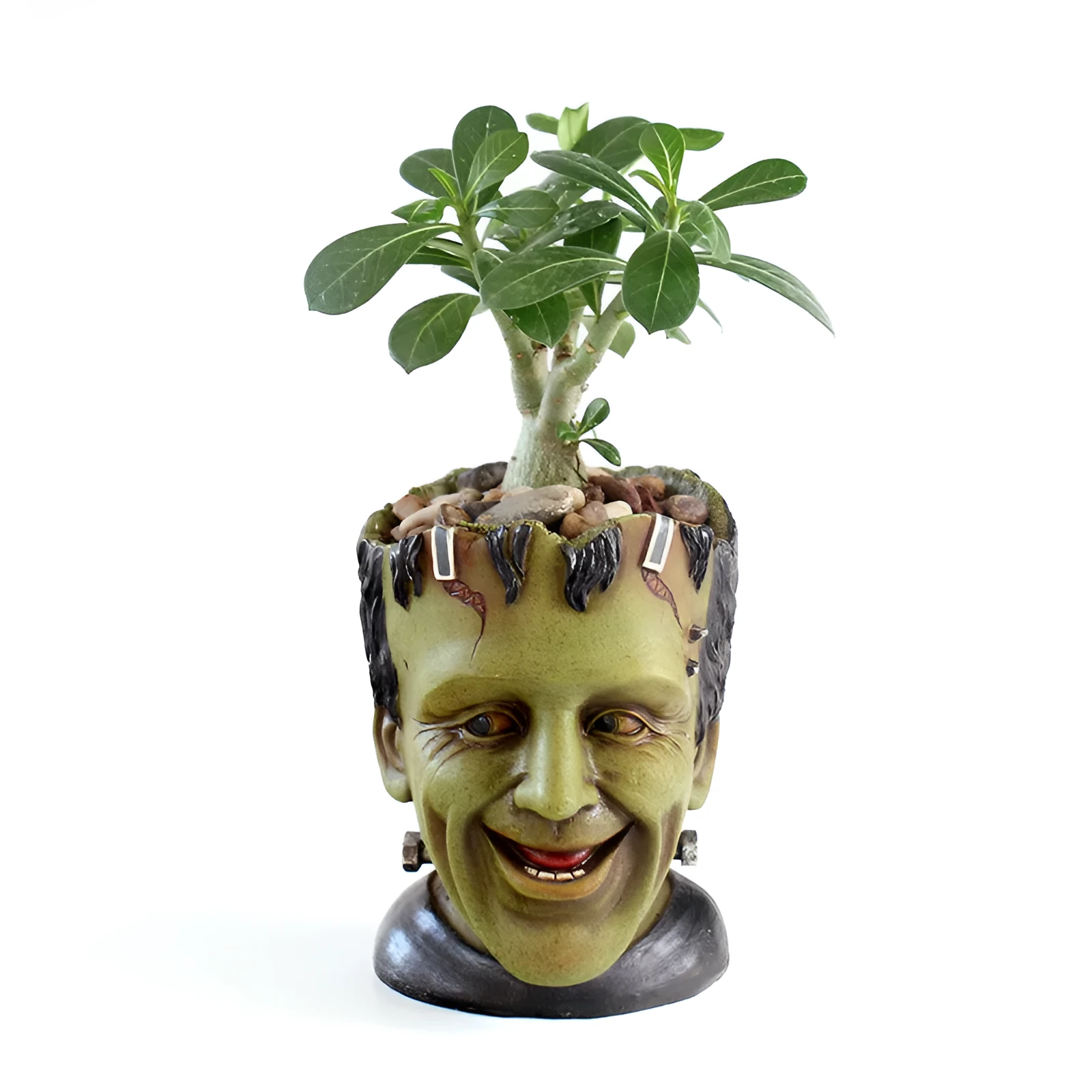 Green Frankenstein monster resin flower pot on a desk with a small succulent plant inside