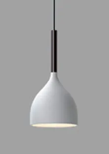 Nordic three-head pendant light in black finish for dining room 220V