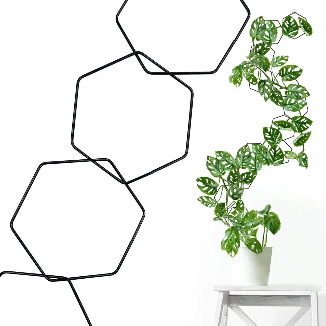 Hexagonal iron ring plant flower rack climbing frame with hooks and folding design