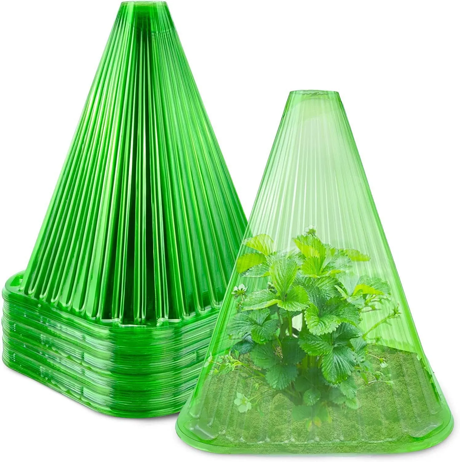 Reusable square plastic plant bell jar in green with ground nail for garden frost protection