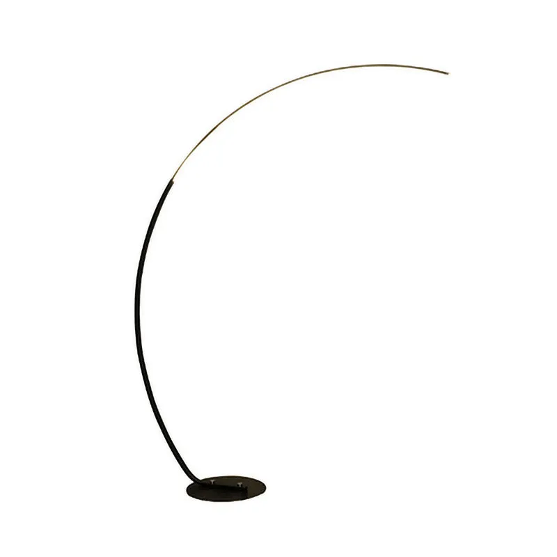 C-type fishing RGB LED floor lamp with aluminium body and 2.4G remote control in black finish