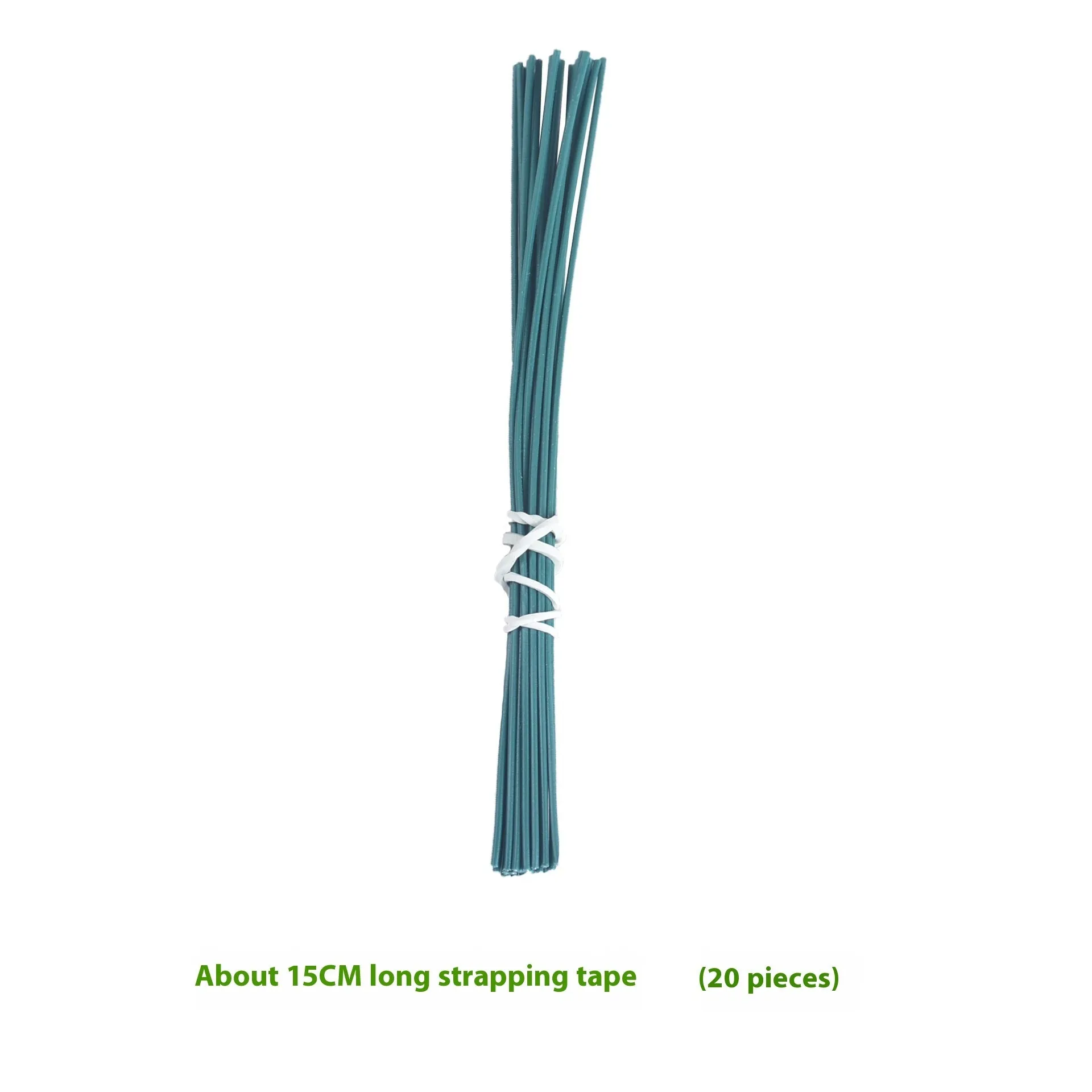 Natural white bamboo plant support poles 45cm long for gardening staking climbing vines