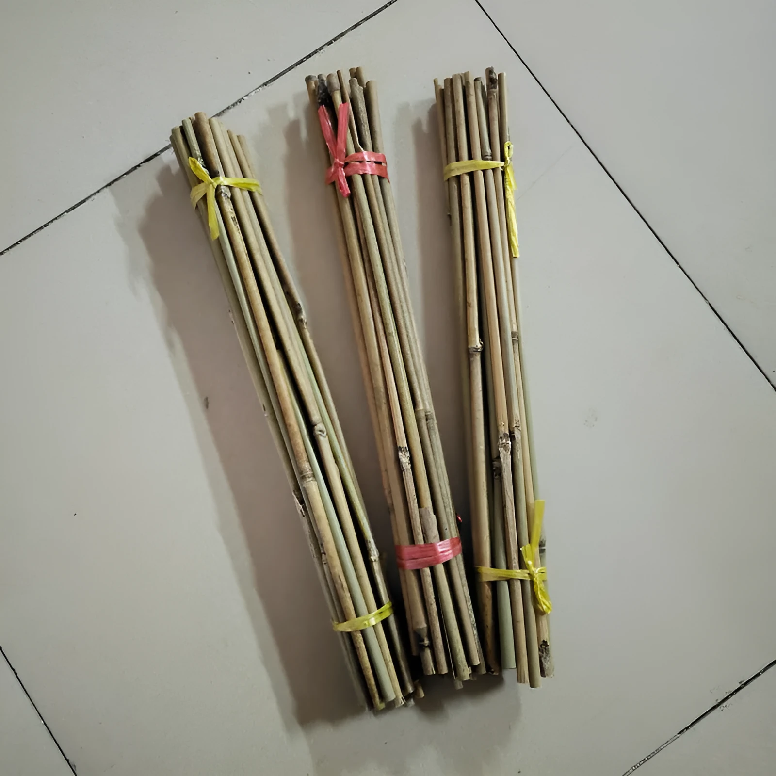 Natural white bamboo plant support poles 45cm long for gardening staking climbing vines