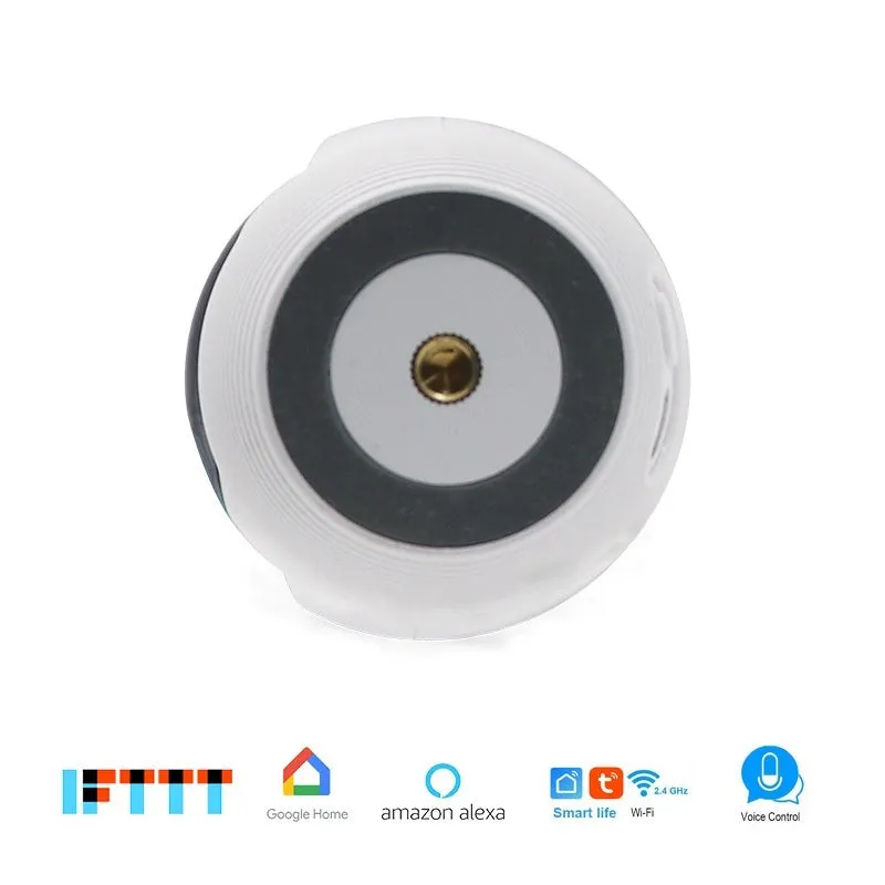 Miniature wireless network camera with 2MP sensor and 2.95mm lens for mobile phone remote viewing