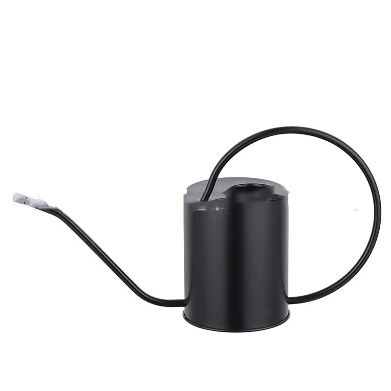Stainless steel watering can with long spout, 2 litre capacity, shown in black finish.