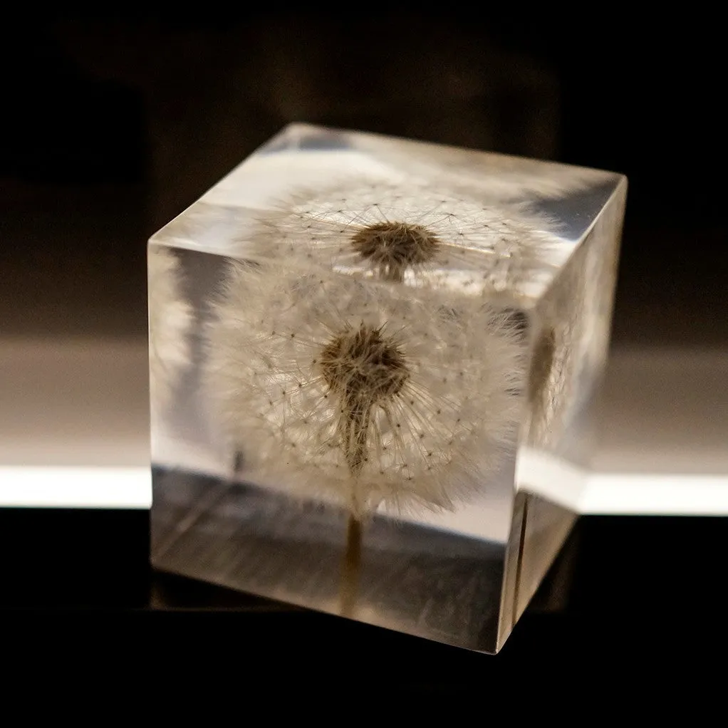 Clear resin cube with preserved dandelion flower, wooden box, and USB charging base
