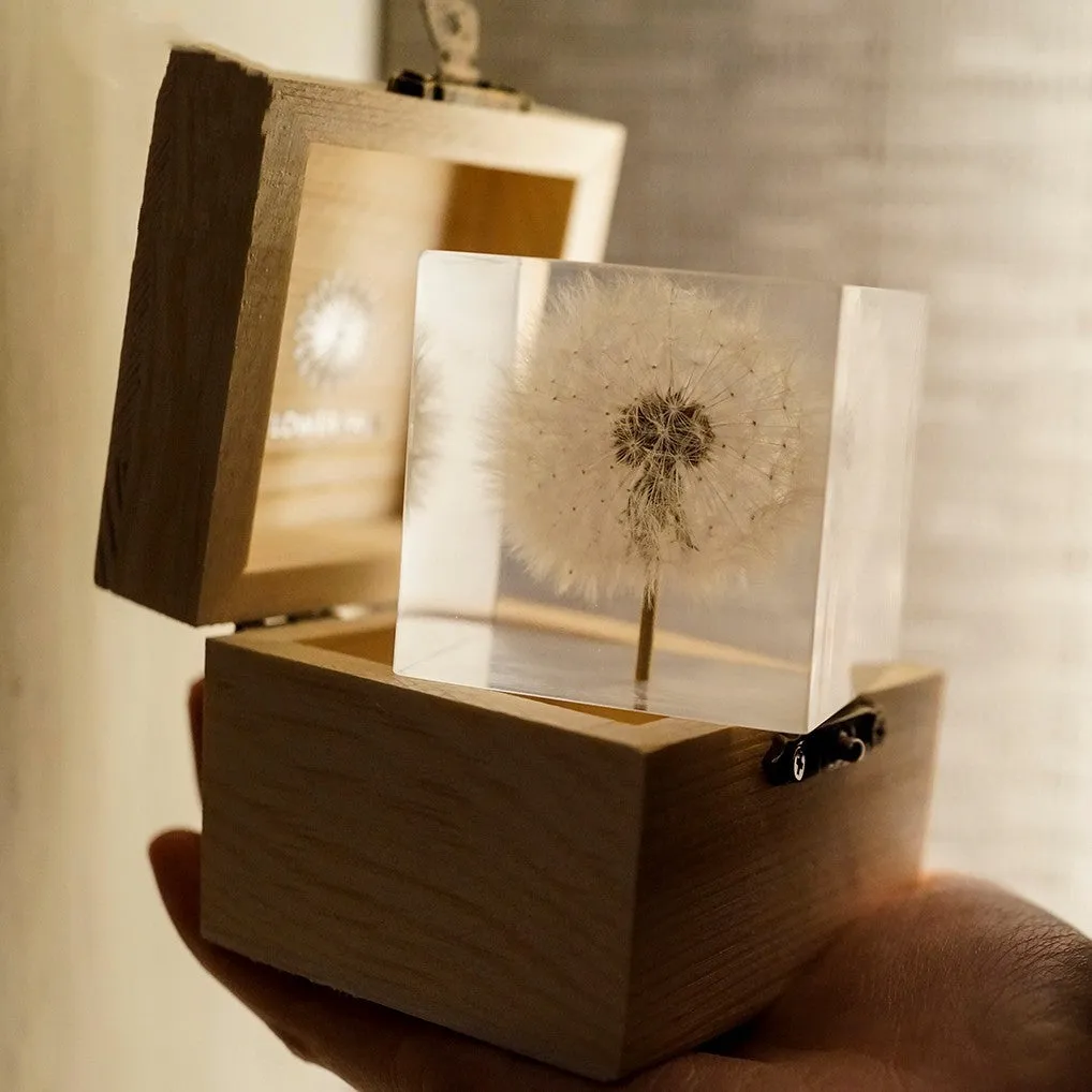 Clear resin cube with preserved dandelion flower, wooden box, and USB charging base