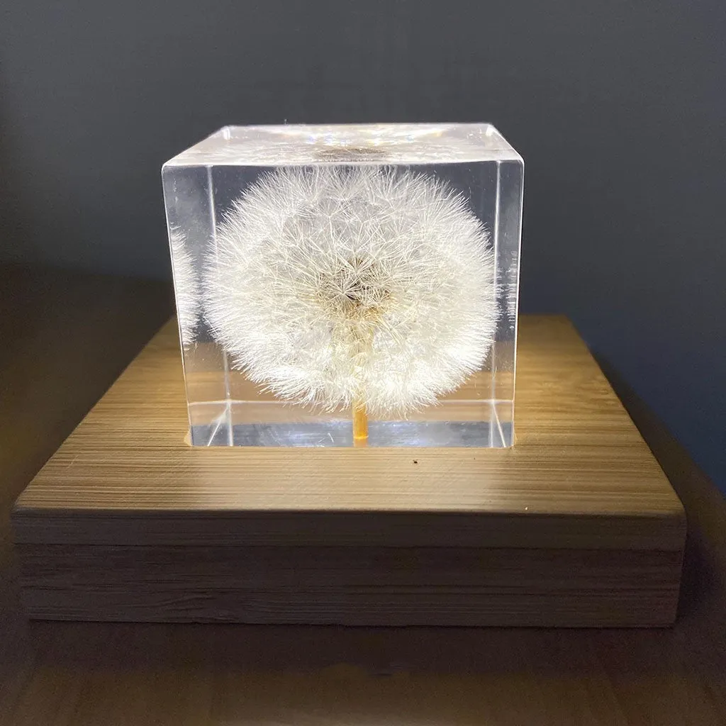 Clear resin cube with preserved dandelion flower, wooden box, and USB charging base