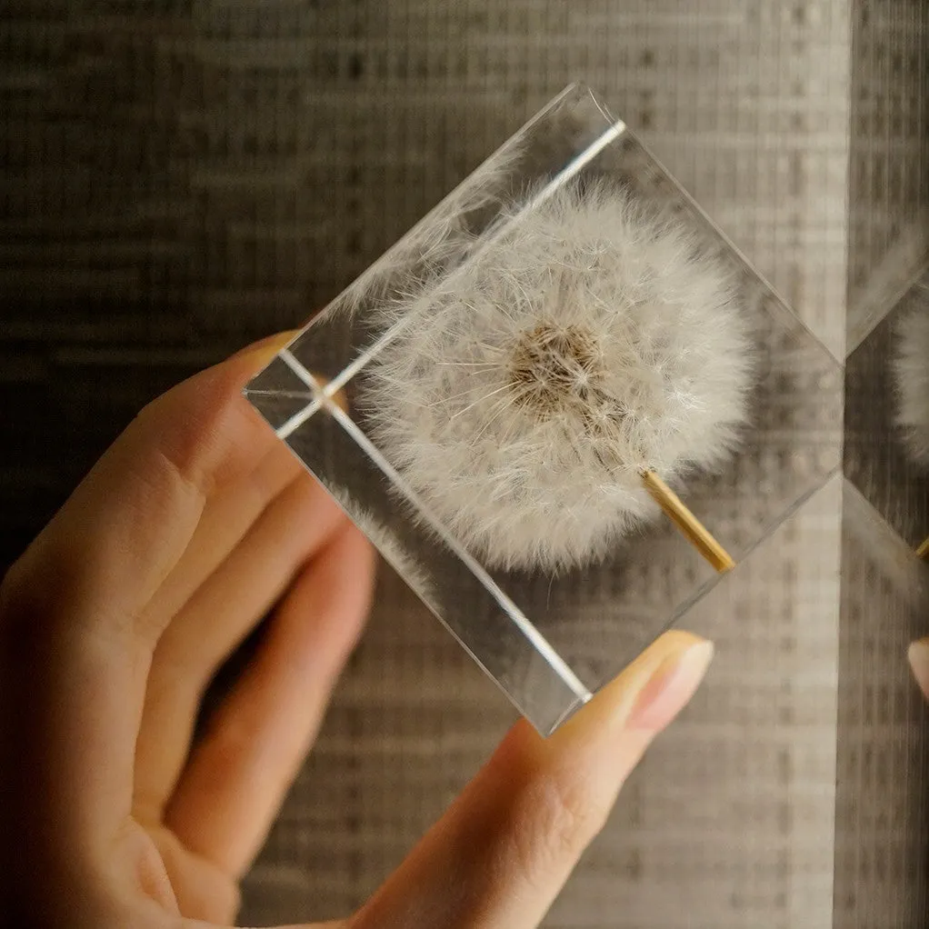Clear resin cube with preserved dandelion flower, wooden box, and USB charging base