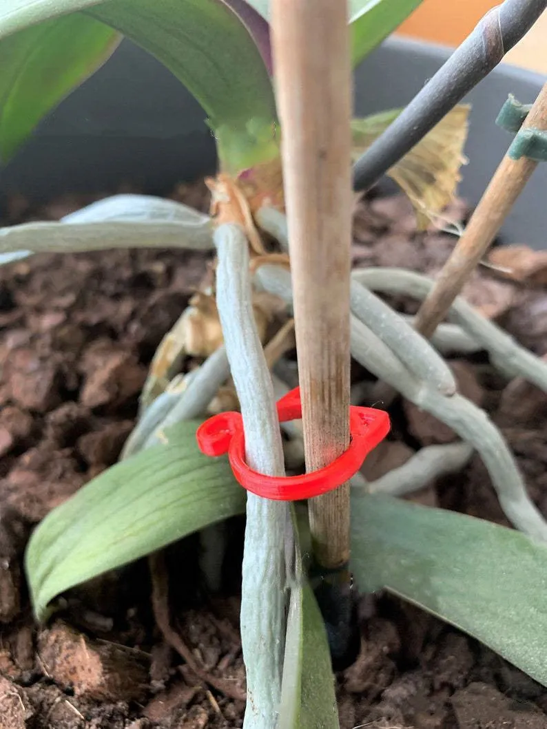 Small green plastic plant clip shaped like a cat, shown next to a plant stem.