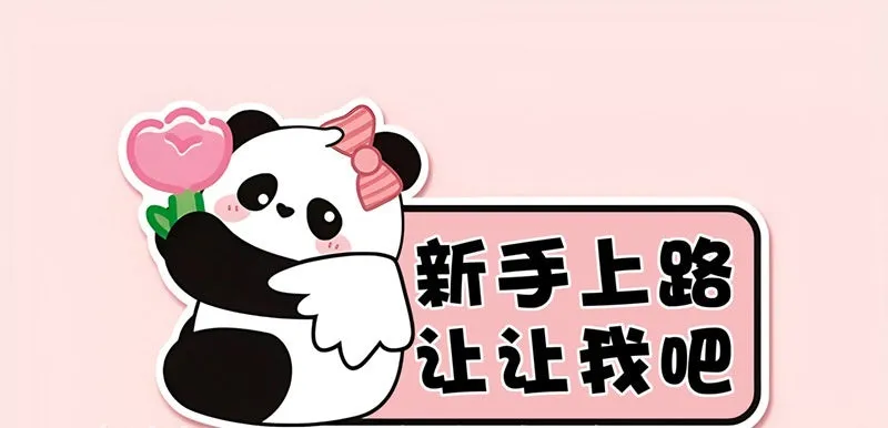 Novice driver car bumper sticker with bear design measuring 23x12 cm with reflective options
