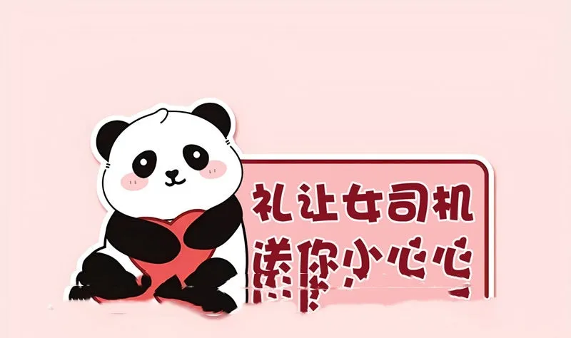 Novice driver car bumper sticker with bear design measuring 23x12 cm with reflective options