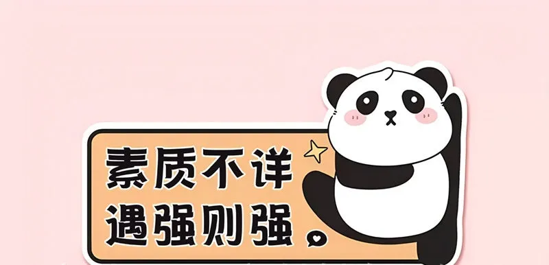 Novice driver car bumper sticker with bear design measuring 23x12 cm with reflective options