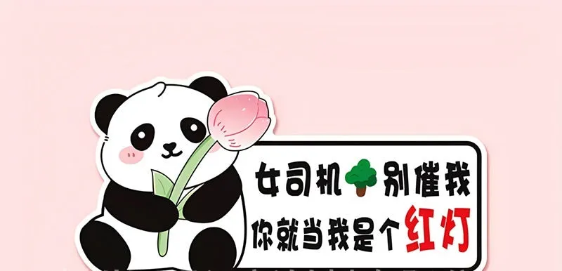 Novice driver car bumper sticker with bear design measuring 23x12 cm with reflective options