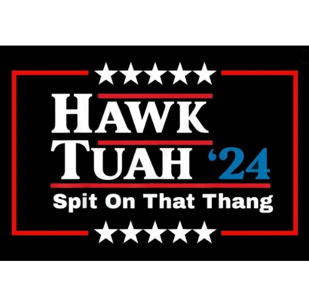 Spoof car funny election sticker set in black and white, 20x13cm coated paper modern simplicity geometric design