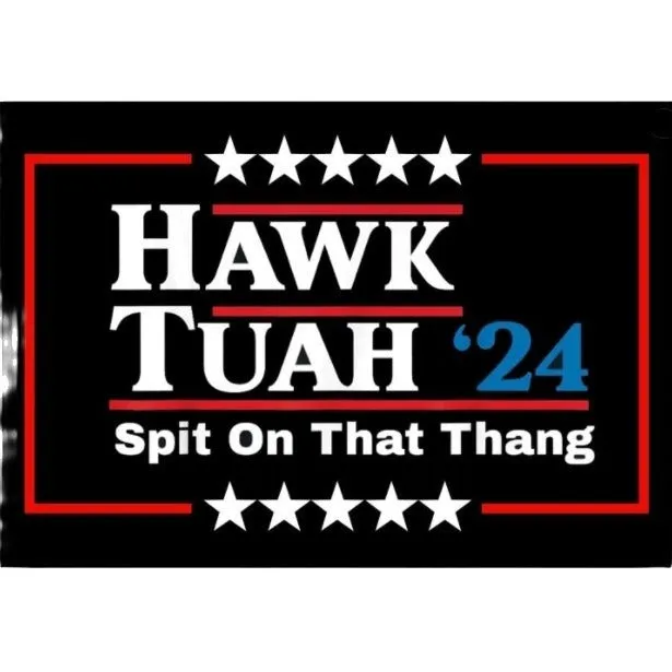Spoof car funny election sticker set in black and white, 20x13cm coated paper modern simplicity geometric design