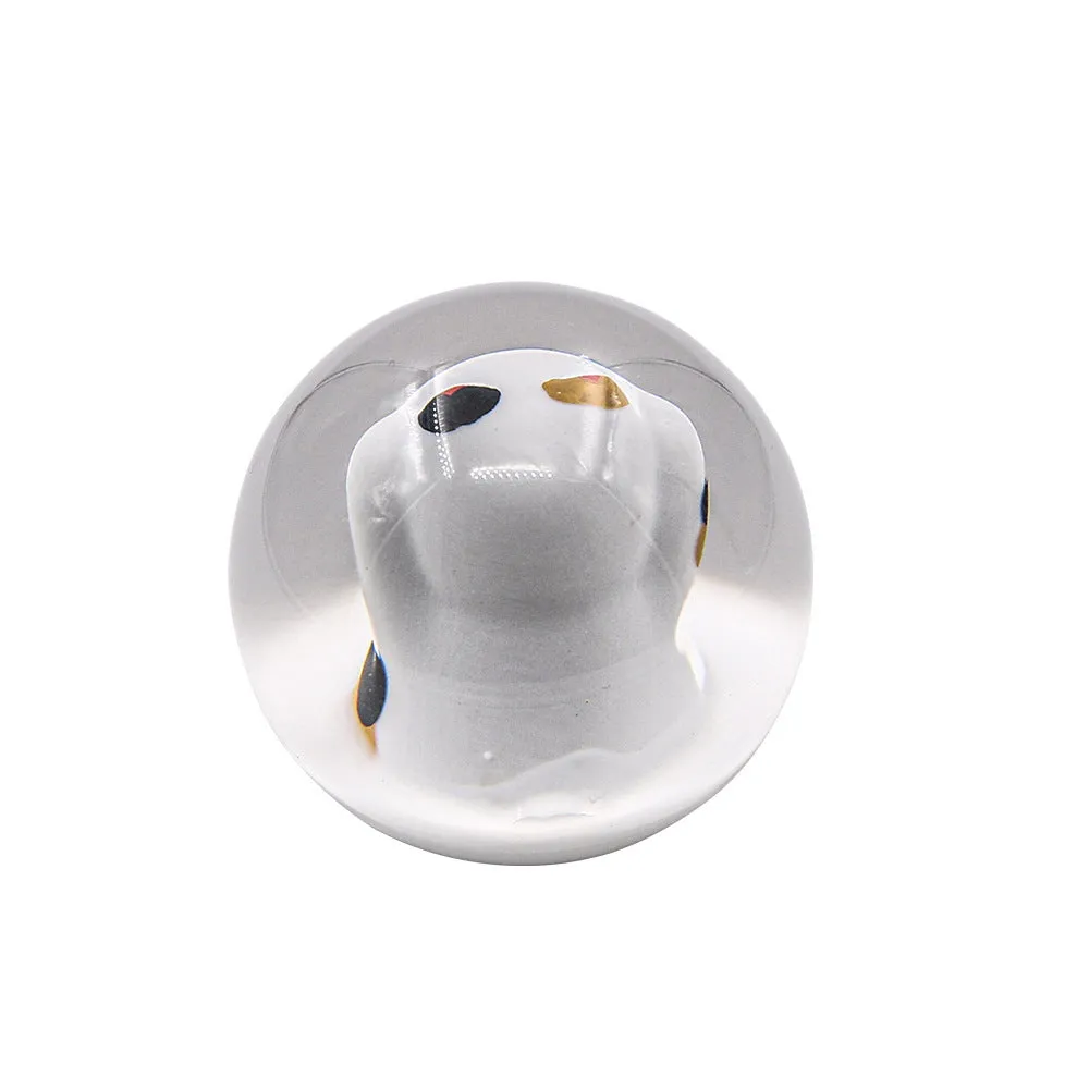 JDM Lucky Cat acrylic gear head with three metal adapters on a grey background