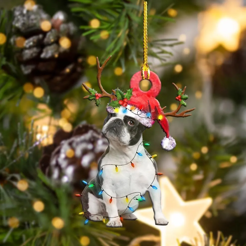 Clear acrylic hanging pendant with sleeping dog angel design