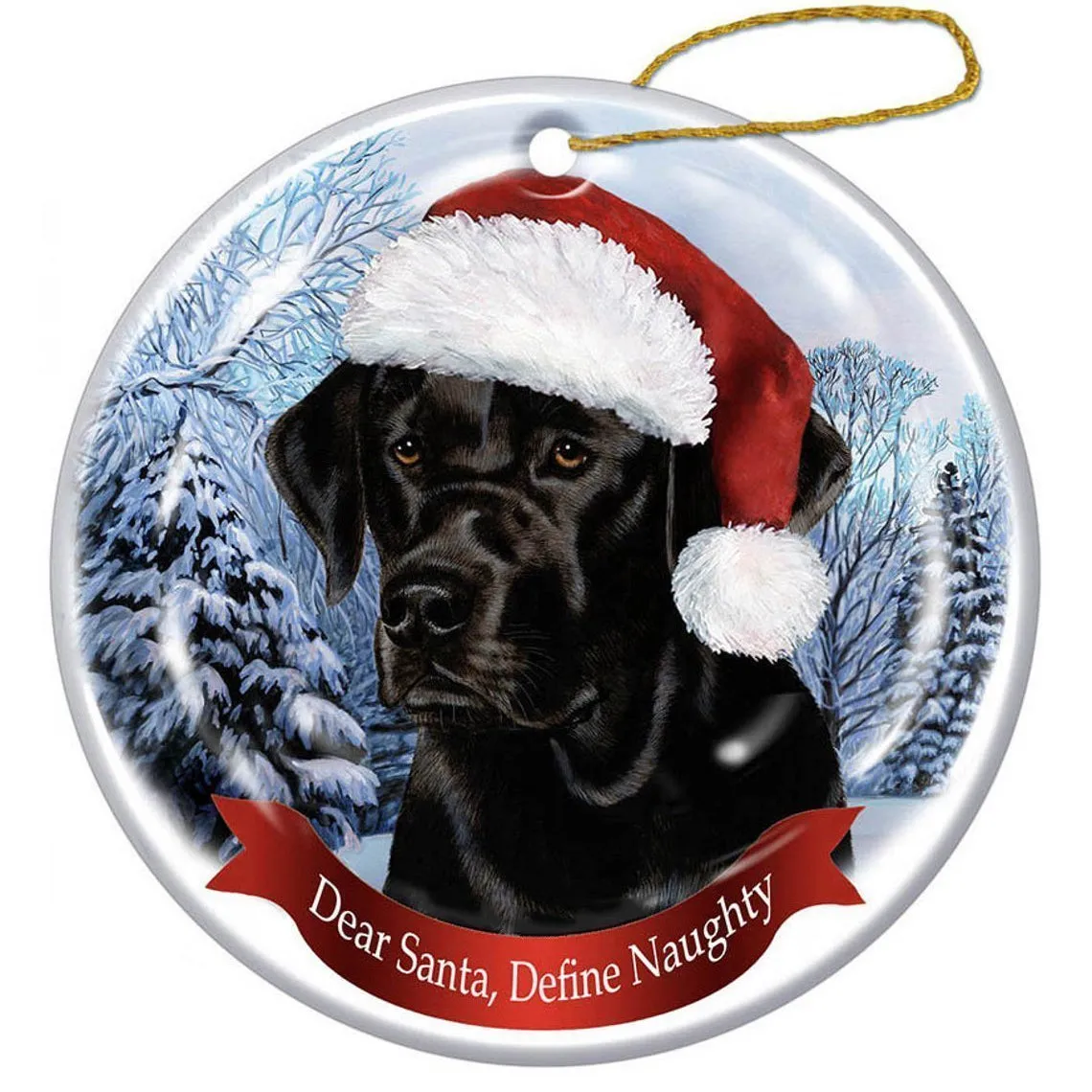 Clear acrylic hanging pendant with sleeping dog angel design